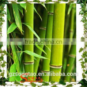Chinses Factory Cheap Artificial Lucky Bamboo Wholesale Artificial Bamboo Tree Bamboo Poles Wholesale for Home photo-5