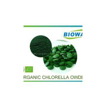 Organic Chlorella Powder