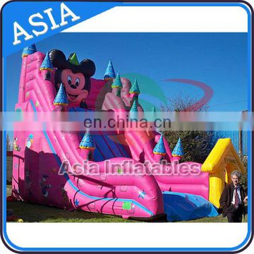 CE Certification Double Stitching Inflatable Slide, Inflatable Slide, Cartoon Theme Inflatables Slide Game