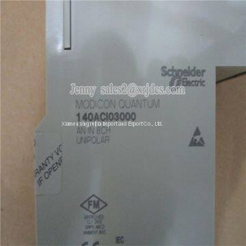 Hot Sale New In Stock SCHNEIDER-140ACI03000 PLC DCS MODULE