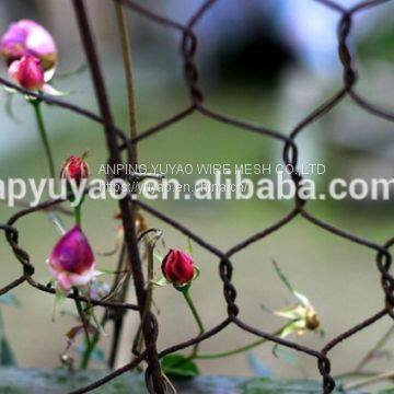 Anping Province Hexagonal Wire Roll Mesh Fence photo-5