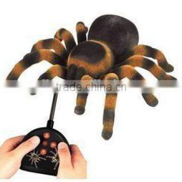 RC Tarantula