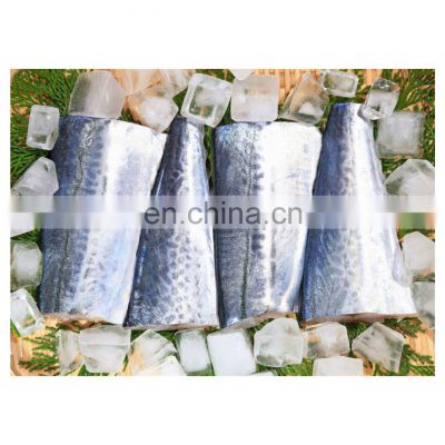 Good quality IQF frozen spanish mackerel fish fillet cuts