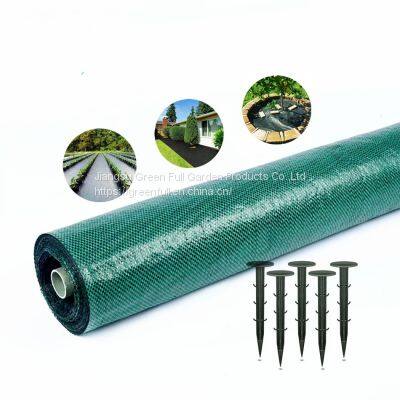 Ground Cover Agriculture Plastic Weed Cloth Weed Control Barrier Mat in Roll