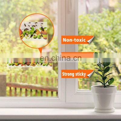 Window Clear Fly Trap Catcher Gnats Sticky Strip Fruit Fly Glue Trap Attrape Mouches Sticker photo-3