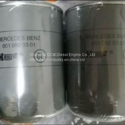 Fuel Filter 0010920301 H34wk