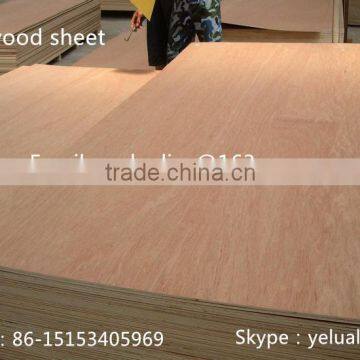 China Shandong Yelu Plywood board for furniture