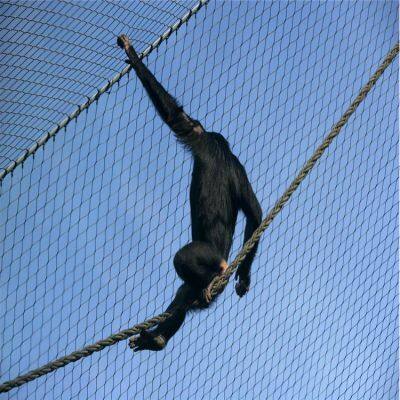 Floor stainless steel fall net production plant, stainless steel wire rope net