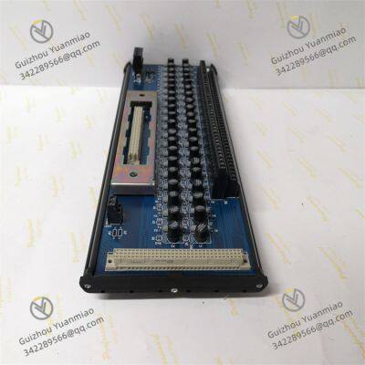 ROCKWELL T8800 Trusted 40 Channel Analogue Input FTA photo-2