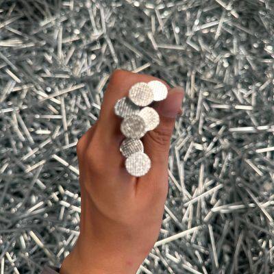 Hot Dipped Galvanized Wire Nails - Stable Quality for Roofing and Fencing photo-2
