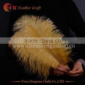 2016 Wholesale Cheap High Quality Plumes Ostrich Feather for Table Centerpiece photo-2