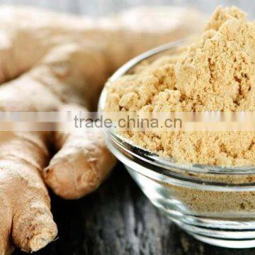 Dried Ginger Powder Producer and Bulk Supplier