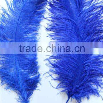 28"-30" Wholesale Bulk Blue Ostrich Feather For Wedding Table Decoration photo-4