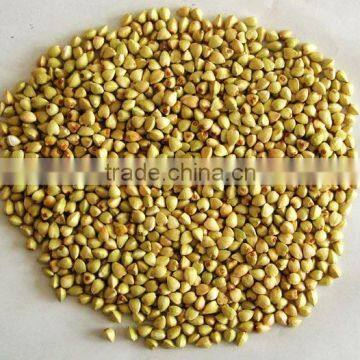 BUCKWHEAT KERNELS