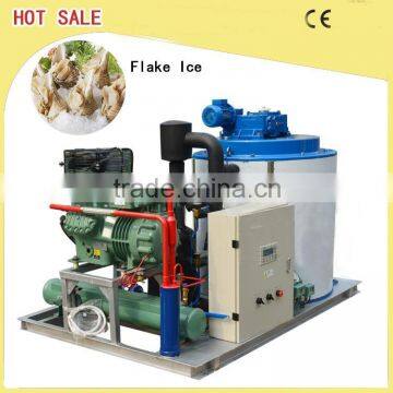 Flake ice machine cimmercial range