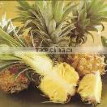 Organic fresh pineapples Nang Lae variety