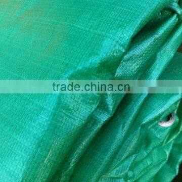 Ractical waterproof protective pe tarpaulin supplier / tarpaulin price per meter / pe Tarp