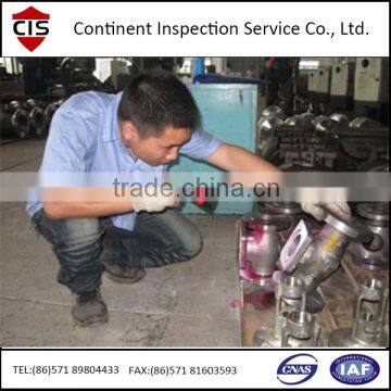 valve/pump/flange inspection