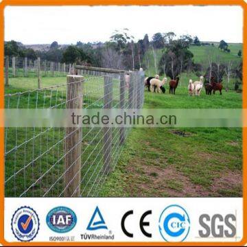 High quality galvanized Field Fence / Cattle Fence / Grassland Farm Fence