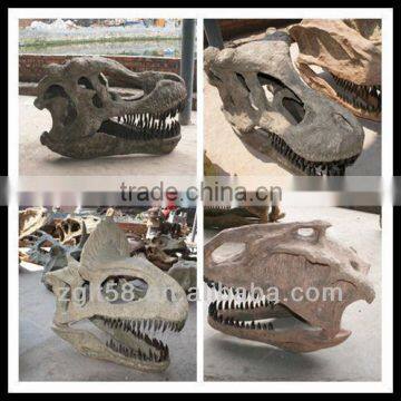 2014 Hot sell dinosaur skeleton model-skeleton model of dinosaur