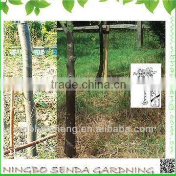 PVC Spiral tree guard