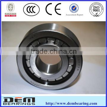 cylindrical roller bearing sl045013pp