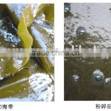 SFJ-W Chilli Wet Crusher/Seaweed Wet Crusher/Vegetables Wet Crusher/Fruit Wet Crusher photo-6