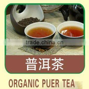 Organic Puer Tea