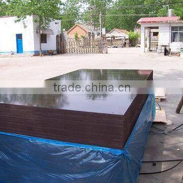 High quality 1220*2440*18mm Brown Film Faced Plywood with competitive price