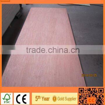 16mm Bintangor face Commercial Plywood