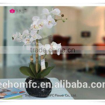 Plastic Flower Orchid Preserved Flower