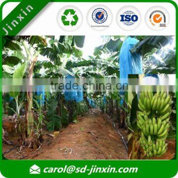 Inflatable Banana Sleeping Bag/banana Protection Bag/protect Bag for Banana in Best Selling Items photo-5