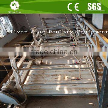 3 Tier A Type Ladder Chicken Cages for Layers With pp Belt Manure Removal System photo-5