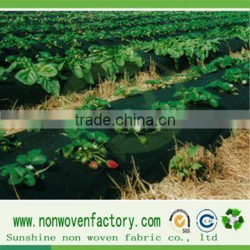 Polypropylene pp Non Woven Anti Weed Fabric uv Resistant Nonwoven