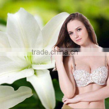 new products hot selling flower print bra