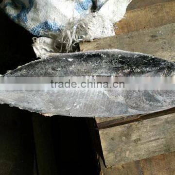 selling frozen fresh seafood tuna fish whole round 1kg up