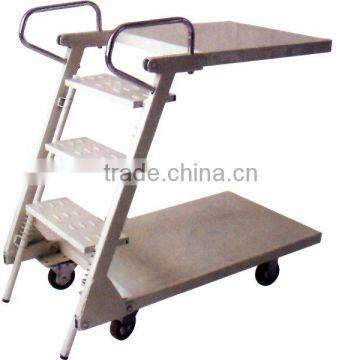 metal step ladder