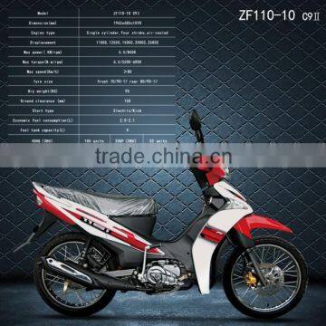 C9II Cheap Motorcycle for Sale 110CC ZF110-10