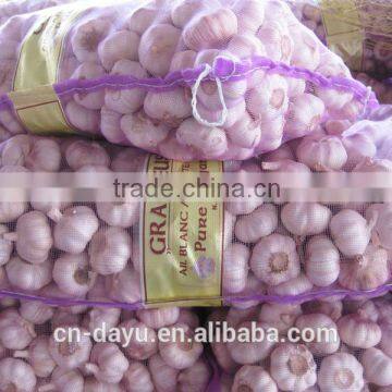 Red White Garlic Supplier 2016 Fresh