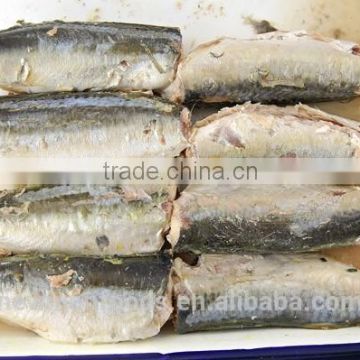 Canned jack mackerel in brine