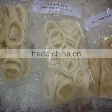 Frzoen squid price competitive