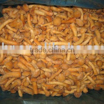 New Crop Frozen mushroom whole