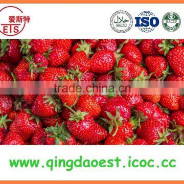 For Sale Best Quality Whole Fresh Strawberry