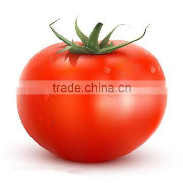 china supplier high quality hrbrid vegetable seeds pink tomato seeds to cultivation