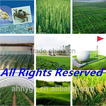 Tea Seed Meal/Cake/Powder for Aquaculture, Organic Fertilizer, Eco-pesticides, Etc.