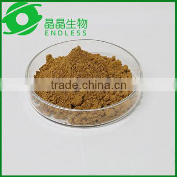 China Herb Medicine cordyceps-lingzhi extract gold