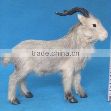 Realistic Taxidermy Replica Life Sized Tiny Sheep Gifts photo-6