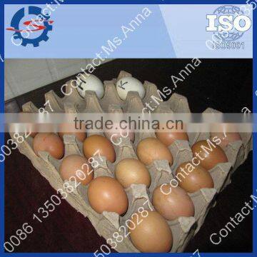 Full automatic rotating egg tray machine, pulp moulding machine 0086 13503820287