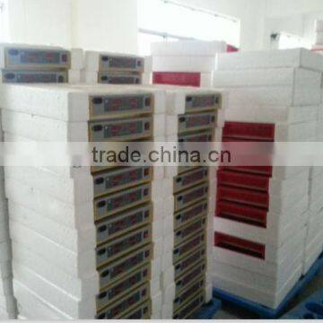 12v dc and 220 AC multi funtion quail egg incubator hatcher