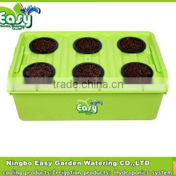 BIg DWC Hydroponics system with 6 site of basket cup. Home hydroponic system.